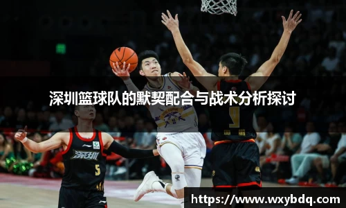 深圳篮球队的默契配合与战术分析探讨